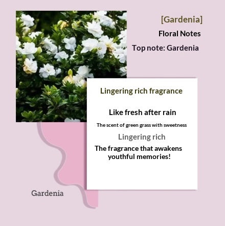 Atmosphere Creative Indoor Home Coffee Scented Candle